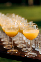 cocktail glasses for wine and champagne