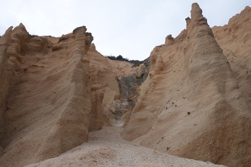 Fototapeta premium Lame Rosse