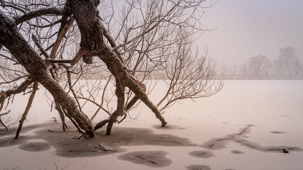 Fototapeta na wymiar Beautiful wide angle view of the fallen tree on the shore of a frozen river during snow blizzard. Travel destination Russia