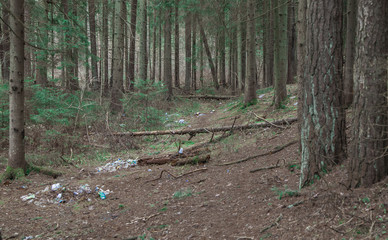 household waste in the forest. pollution of nature. ecological catastrophy