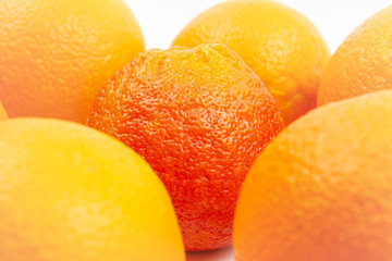 Big red orange among yellow oranges, close up.