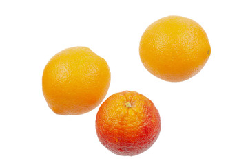 Big red orange among yellow oranges, close up.