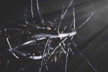 Crown of thorns. Death and resurrection of Jesus Christ.