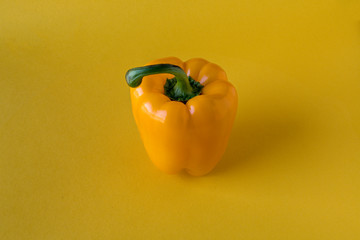 Yellow bell pepper, cultivar