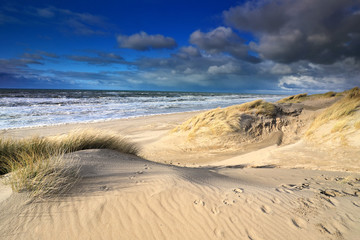 Fototapeta na wymiar view, on sea beach from dunes
