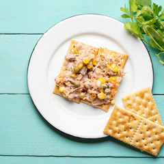 Tuna salad with mayonnaise on turquoise background