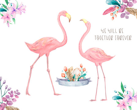 Exotic tropic bird pink flamingo with leaves and plant flower agave hand drawn watercolor. Print trendy flower illustration isolated on white background