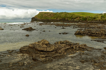 Landscape New Zealand Curio Bay - coast with the prehistoric fossils wood, site of a petrified...