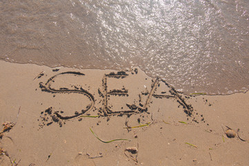 Word SEA wtitten onbwach sand on sunny day