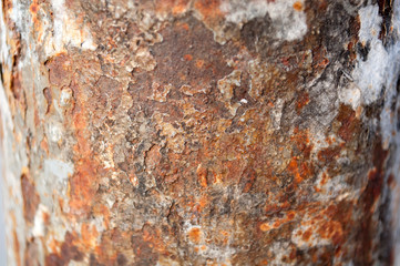 rough rust on the iron pillar