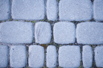 pavement with moss between it, background