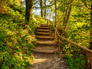 View on stairs in the forest of the Vintgar Gorge in Slovenia