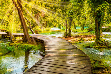 Wooden footpath over river in forest of Krka National Park, Croatia. Beautiful scene with trees,...