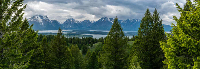 Fototapeta na wymiar Panorama of Trees in front of Jackson Lake and Tetons Range