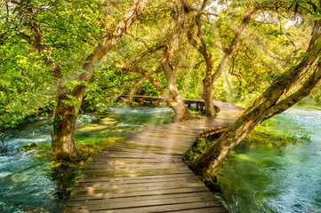Wooden footpath over river in forest of Krka National Park, Croatia. Beautiful scene with trees,...