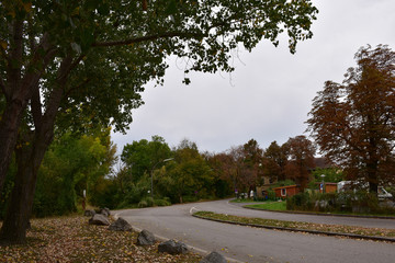 Lined stones and tall trees next to winding road.