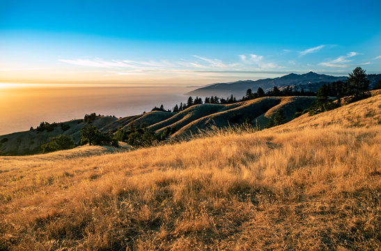 Central California Coastline