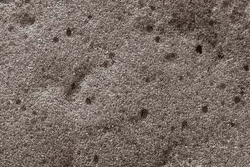 dish sponge