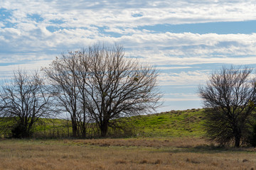 Texas City Park on a sunny winter day.
