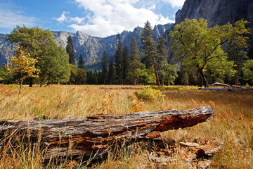 Fototapeta na wymiar Yosemite National Park, California