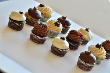 cupcakes on white background