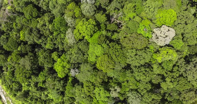 Fly over the Malaysian Rain forest - Jeram Toi Waterfall. aerial view of the Malaysian landscape. the jungle of Malaysia, a birds eye view captured with a drone