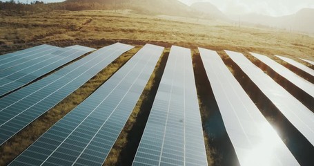Aerial view of an endless array of blue solar panels reflecting the sunrise, the future of renewable energy is here