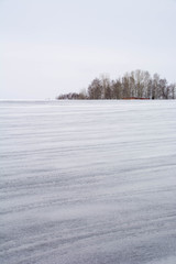 融雪剤がまかれた雪の畑