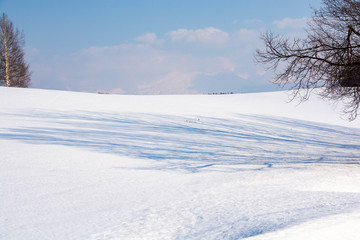 Fototapeta na wymiar 雪原に伸びる冬木立の影