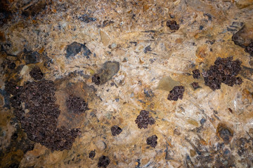 Hidden Water Tunnel Full of Bats in Jardin, Antioquia /Colombia