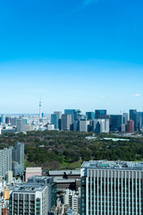 Fototapeta premium 東京風景