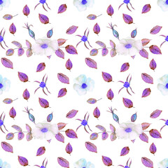 Seamless pattern. Flowers and fruits of rose hips Watercolor. Flower illustrations. Bohemian bouquets of flowers, wreaths, wedding compositions, anniversary, birthday, invitations greeting cards