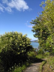 road to blue sky with trees