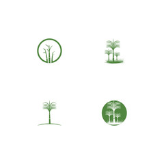 Set Sugar cane Logo Template vector symbol