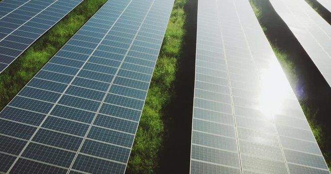 Aerial view flying over blue solar panel rows with green grass, amazing solar farms are the future of renewable energy