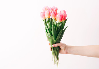 Woman hand with manicure holding tulips flowers on white wall background