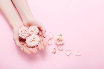Woman's hands with trendy manicure holding bunch of pink rose on pink background, top view.