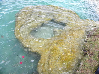 Estromatolitos en Bacalar, Méjico.
