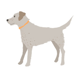 Illustration of standing dog isolated on white background. 