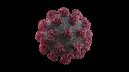 Coronavirus