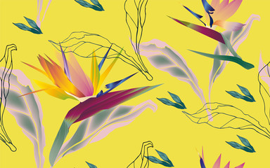 Flowers of bird of paradise, Strelitzia royal with leaves and petals on a white background seamless pattern.