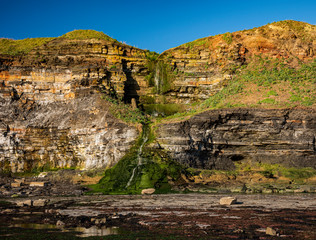 Low tide at Kimmeridge reveals textures of rock and seaweed
