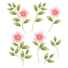 set of vintage red and pink flowers and green leaf design elements for wedding invitation, card, logo, or floral icon