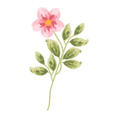 single branch of vintage soft pink flower bud and green leaf design elements for wedding invitation, card, logo, or floral icon