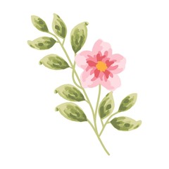 single branch of vintage soft pink flower bud and green leaf design elements for wedding invitation, card, logo, or floral icon