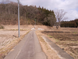 あぜ道1