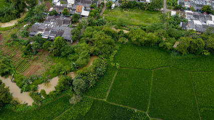 Aerial view beautiful terraced rice fields and residential, Tangerang, Indonesia