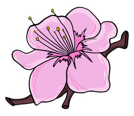 Hand drawn cherry branches with colorful flowers. Sakura plant silhouette on a white background