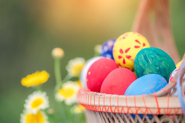 Basket of easter eggs on green nature background
