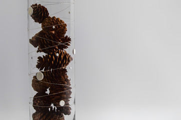 Bumps in a decorative glass vase on a white background